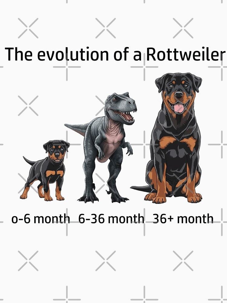 The Evolution of a Rottweiler by Ranout