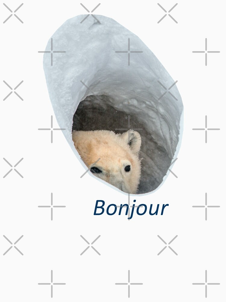 Bonjour polar bear meme by HangLooseDraft