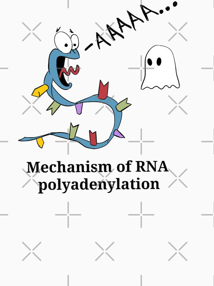 Mechanism of RNA polyadenylation by Science Lab Designs