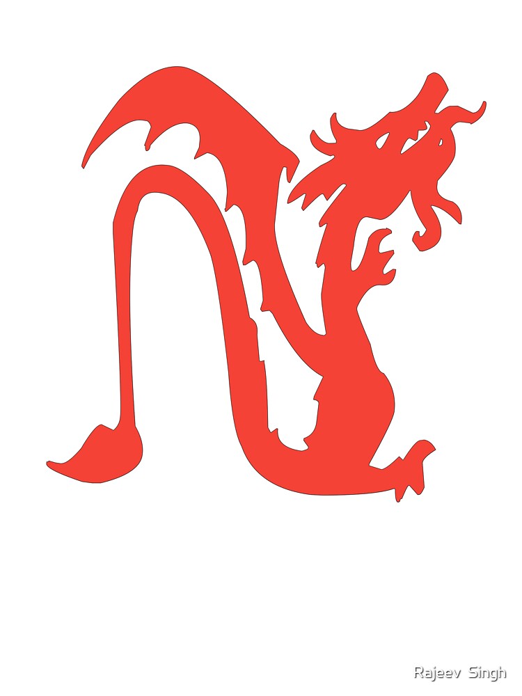Dragon Initial Monogram N by Rajeev  Singh