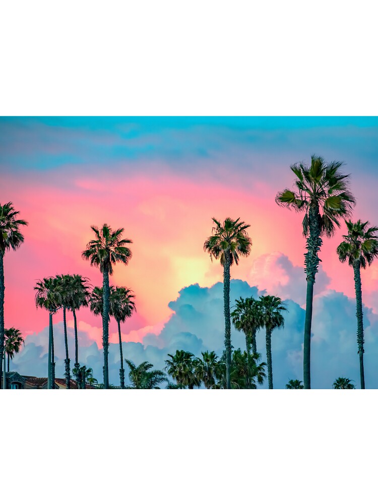 Huntington Beach, California, Cotton Candy Pink Palm Tree Sunset by newburyboutique