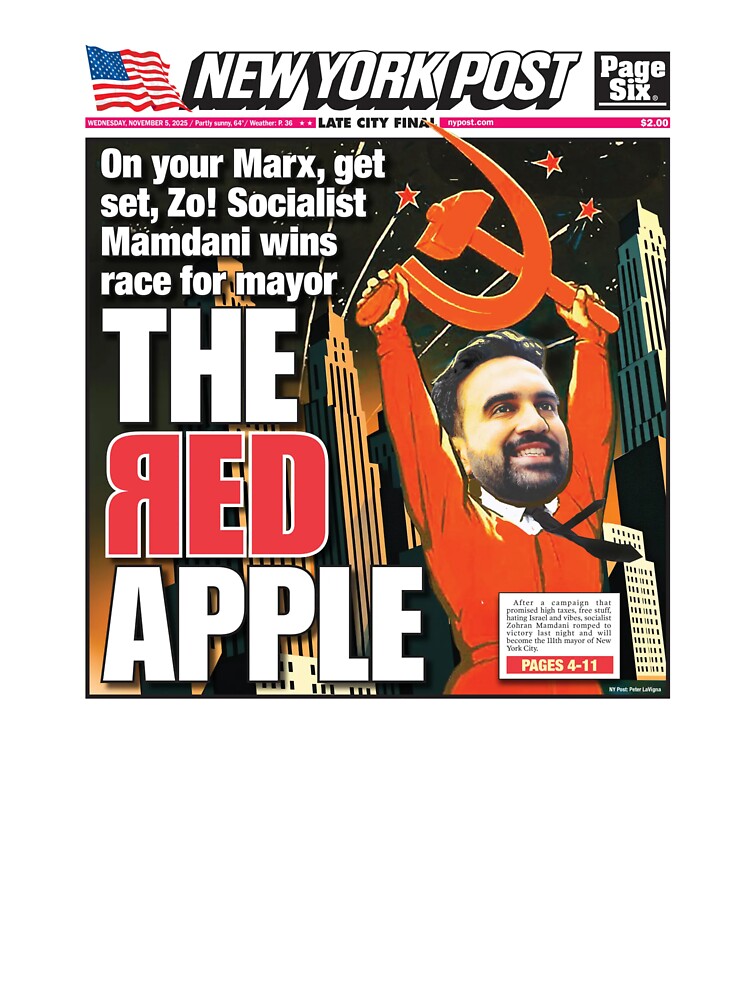 Zohran Mamdani Socialist New York Post by thecamphillips
