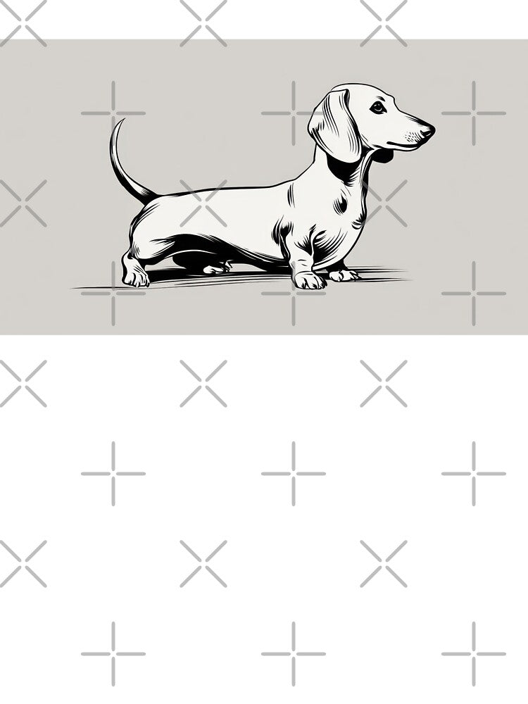 Dachshund stands on a plain surface by anytka