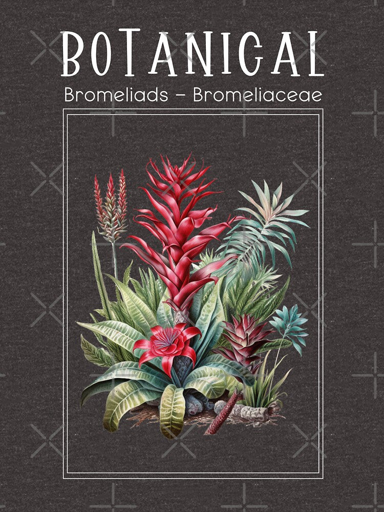 Bromeliads - Bromeliaceae - Botanical Collection by StudioRedKoala