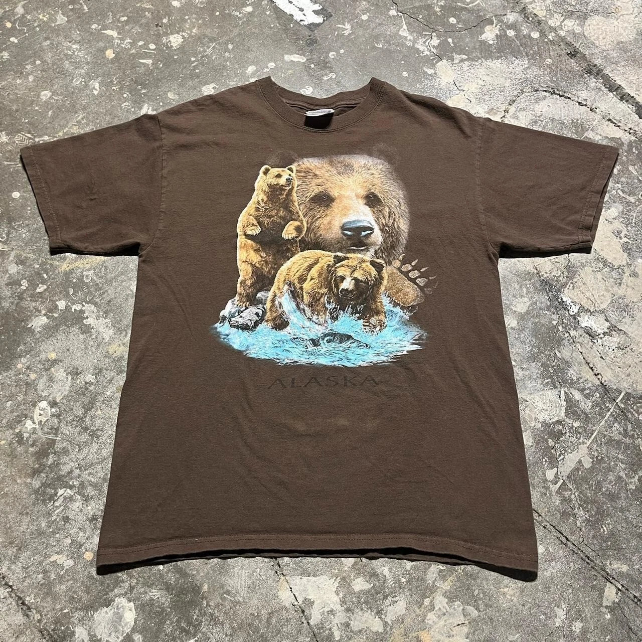 Y2K Brown Bear Alaska T-Shirt