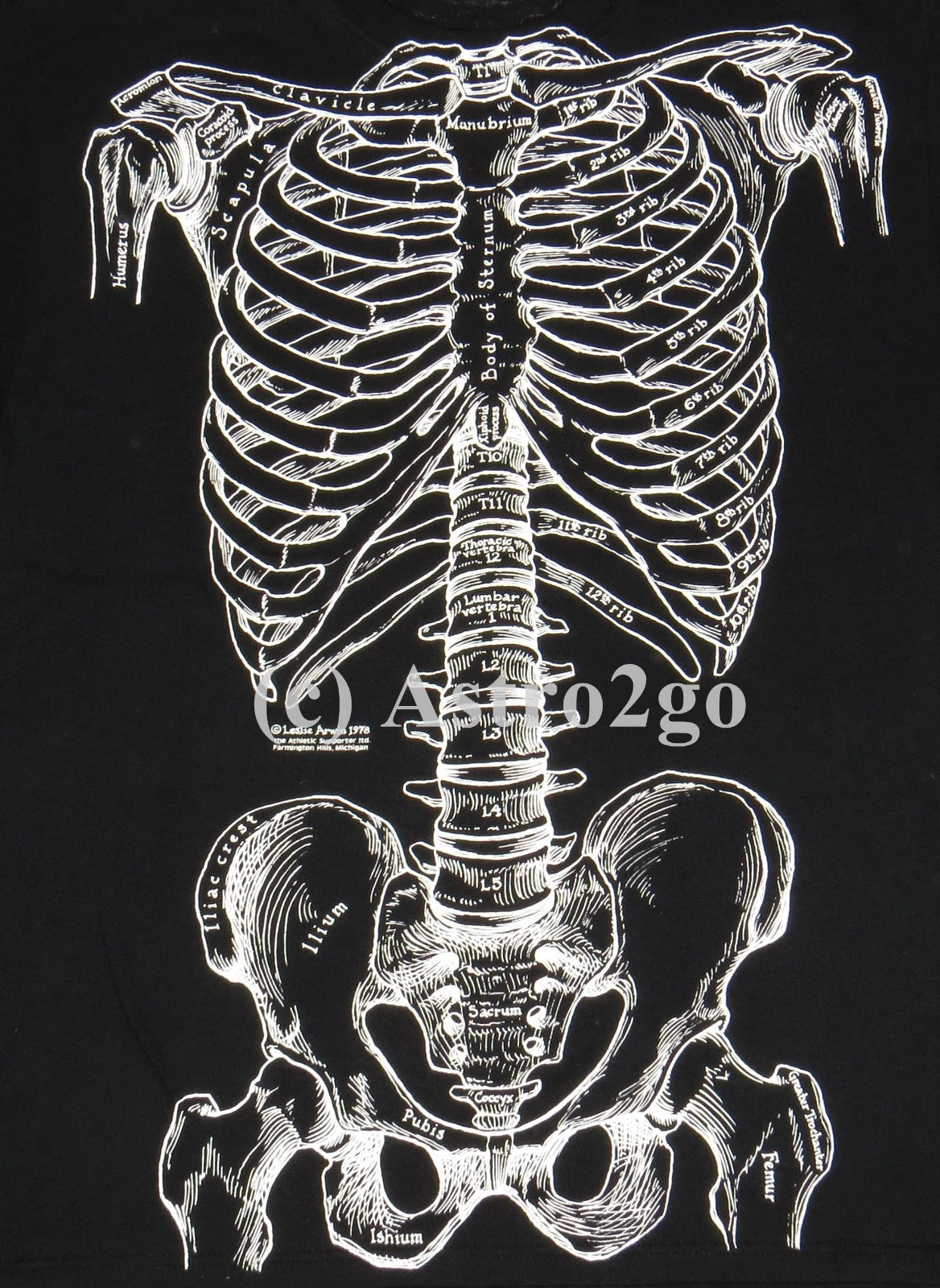 BONES-Leslie Arwin Skeleton Anatomy Biology Life Science Medical 2 sided T shirt