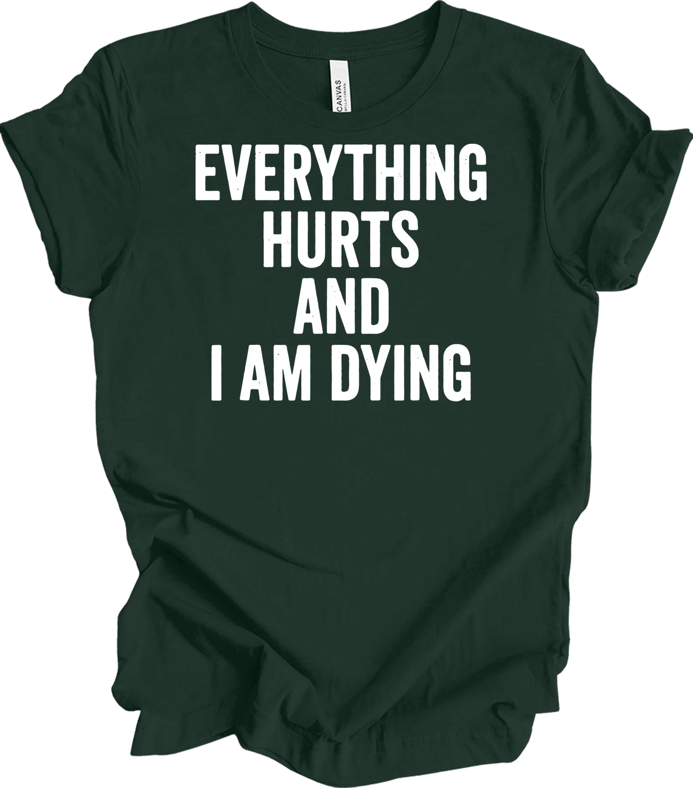Everything Hurts and I'm Dying Funny T-Shirt, Dark Humor Tee