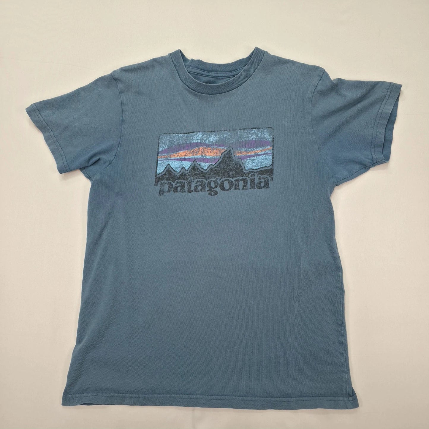 Patagonia Shirt Mens Medium Slim Fit Graphic Logo Outdoor Casual Tee Hiking