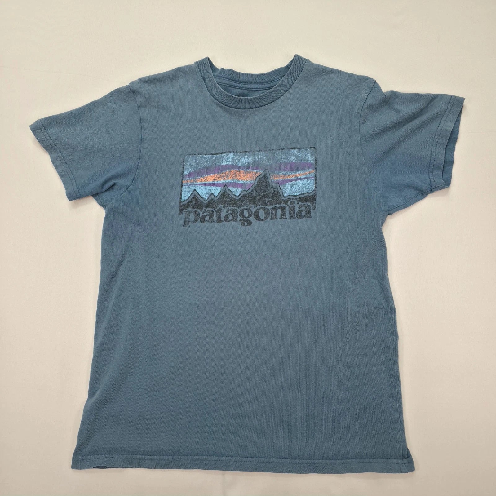 Patagonia Shirt Mens Medium Slim Fit Graphic Logo Outdoor Casual Tee Hiking