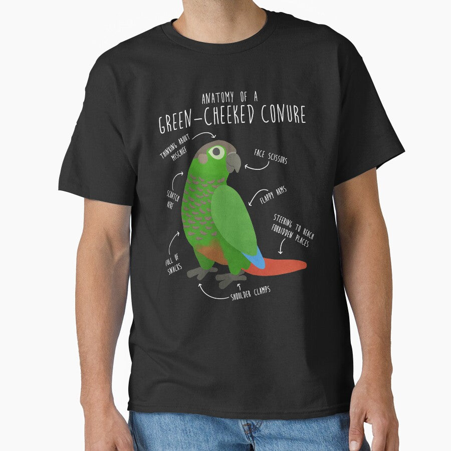 Green Cheek Conure Anatomy by Clara Hollins