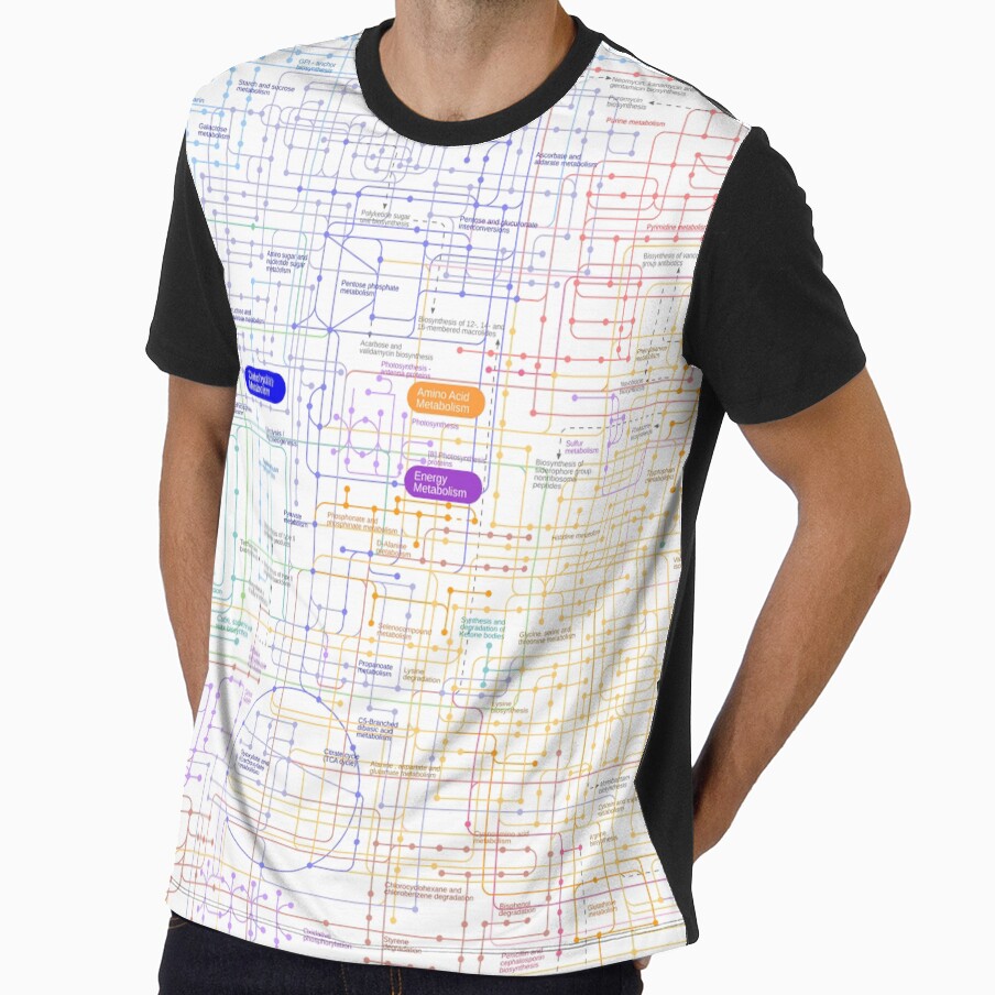 Metabolic pathway map by Science Store