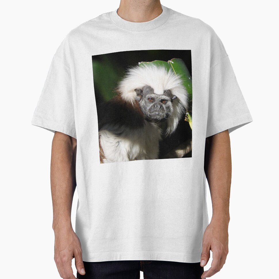 Cotton-top Tamarin by kirstybush