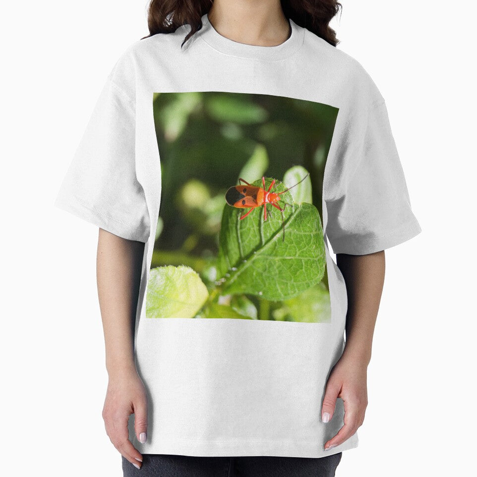 red cotton stainer by ROSE ANN BANILAR