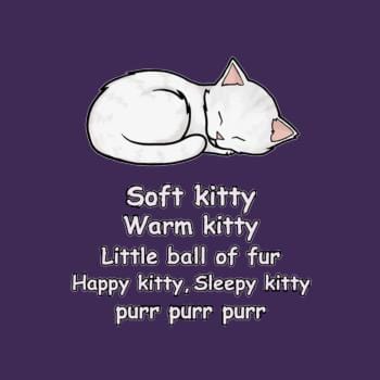 Soft Kitty Hoodie