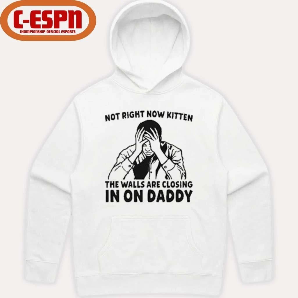 Not Right Now Kitten The Walls Are Closing In On Daddy T-Shirt