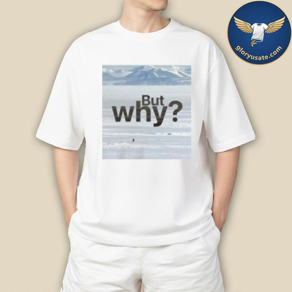 But Why Motivation Penguin shirt