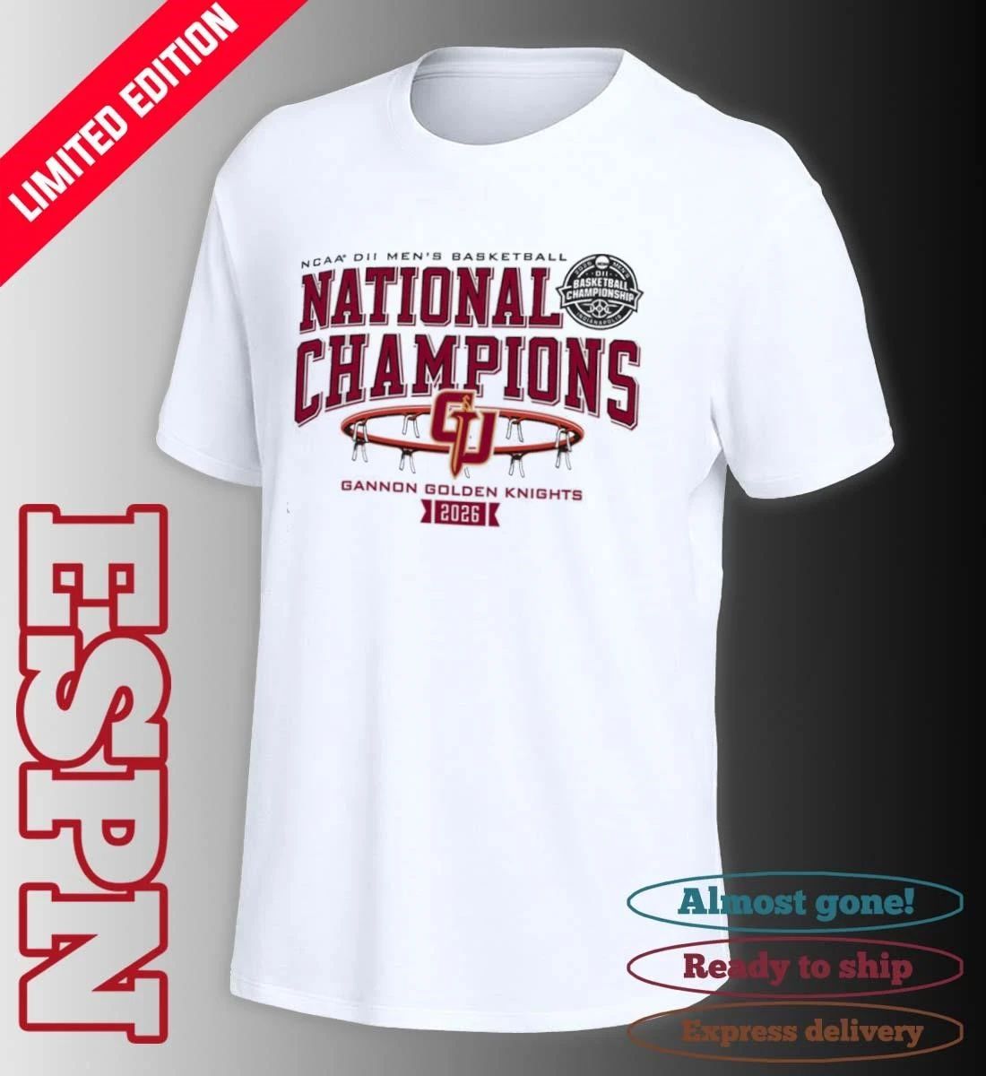 Gannon Golden Knights 2026 NCAA DII Men’s Basketball National Champions T-Shirt