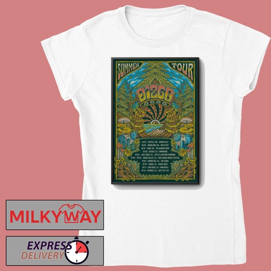 Poster DIZGO Summer 2026 Tour shirt
