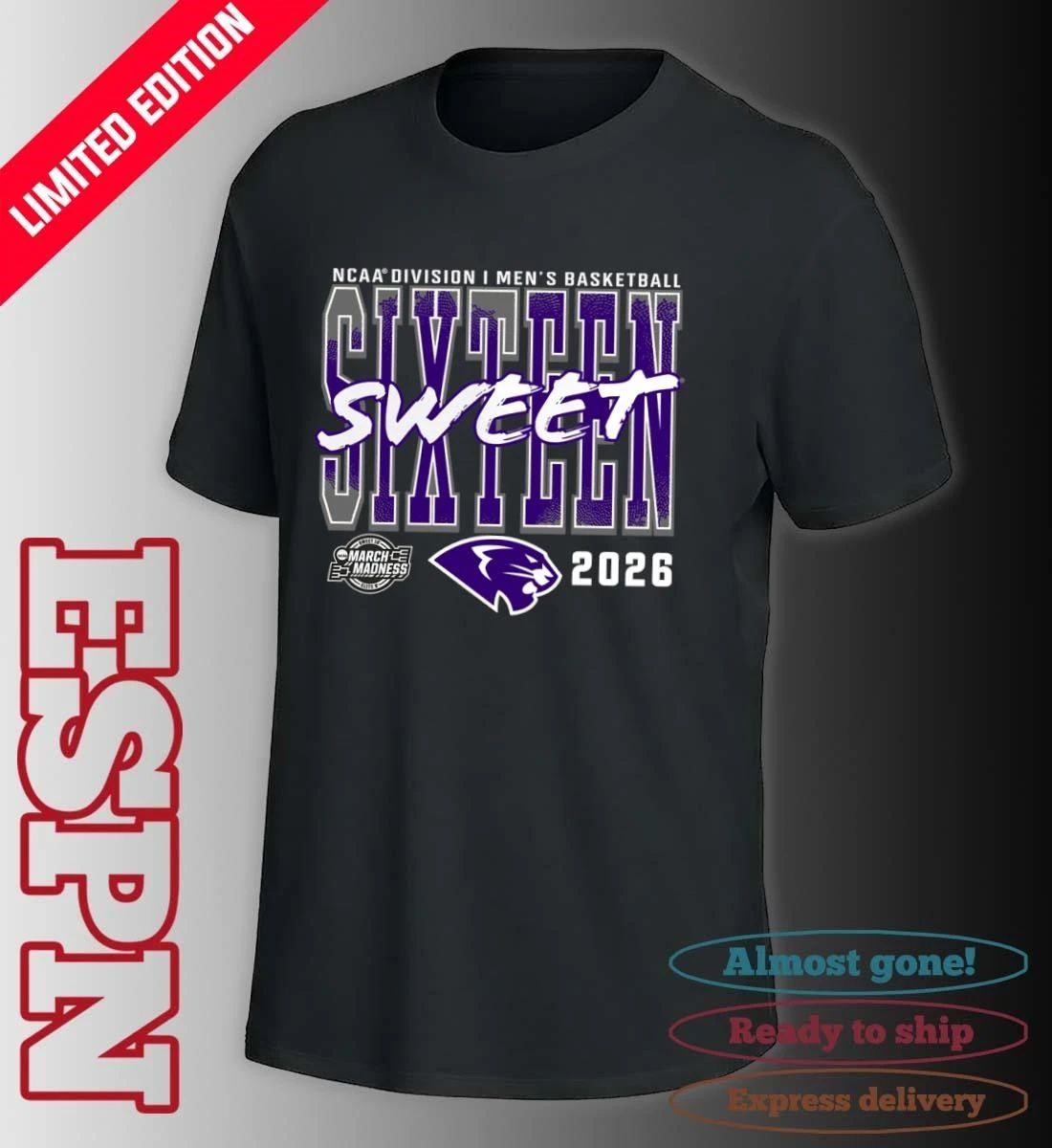 High Point Panthers 2026 NCAA Men’s Basketball Tournament March Madness Sweet 16 T-Shirt