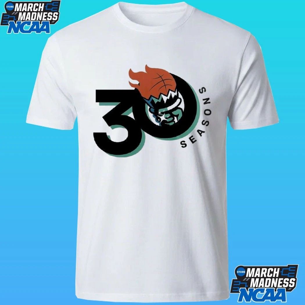 New York Liberty 30 Seasons Of Lighting It Up Shirt