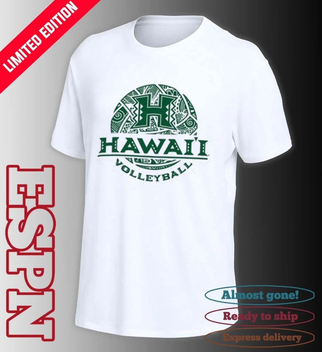 Hawaii Rainbow Warriors Volleyball 2026 Vintage T-Shirt