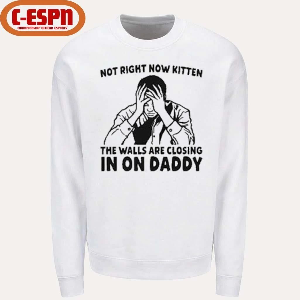 Not Right Now Kitten The Walls Are Closing In On Daddy T-Shirt