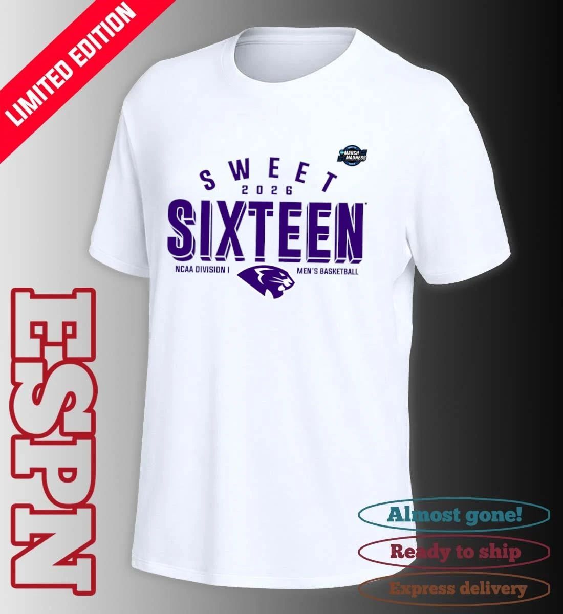 Sweet 16 High Point Panthers 2026 NCAA Men’s Basketball T-Shirt