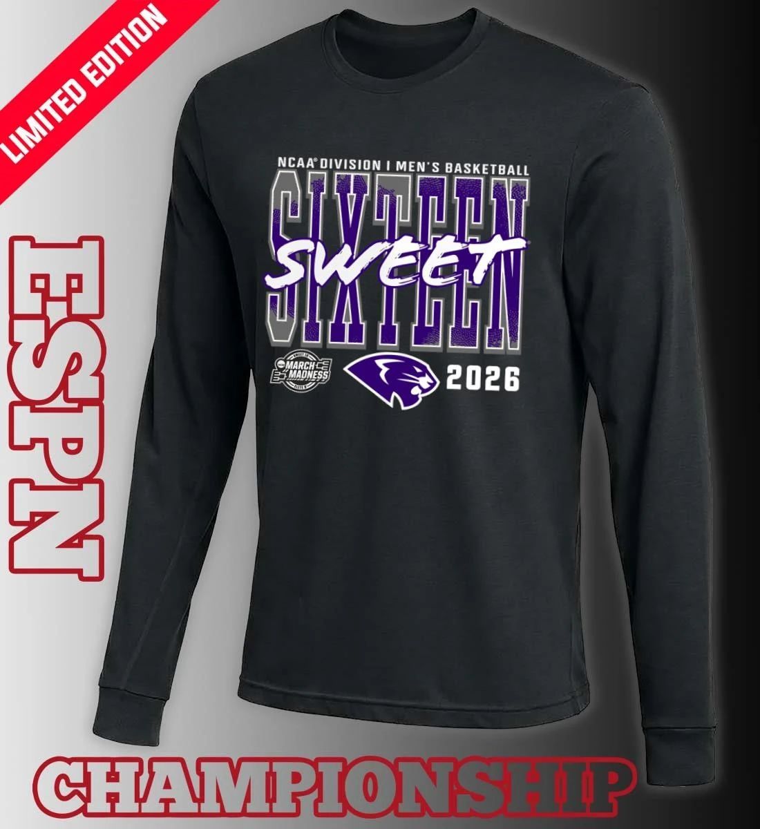 High Point Panthers 2026 NCAA Men’s Basketball Tournament March Madness Sweet 16 T-Shirt