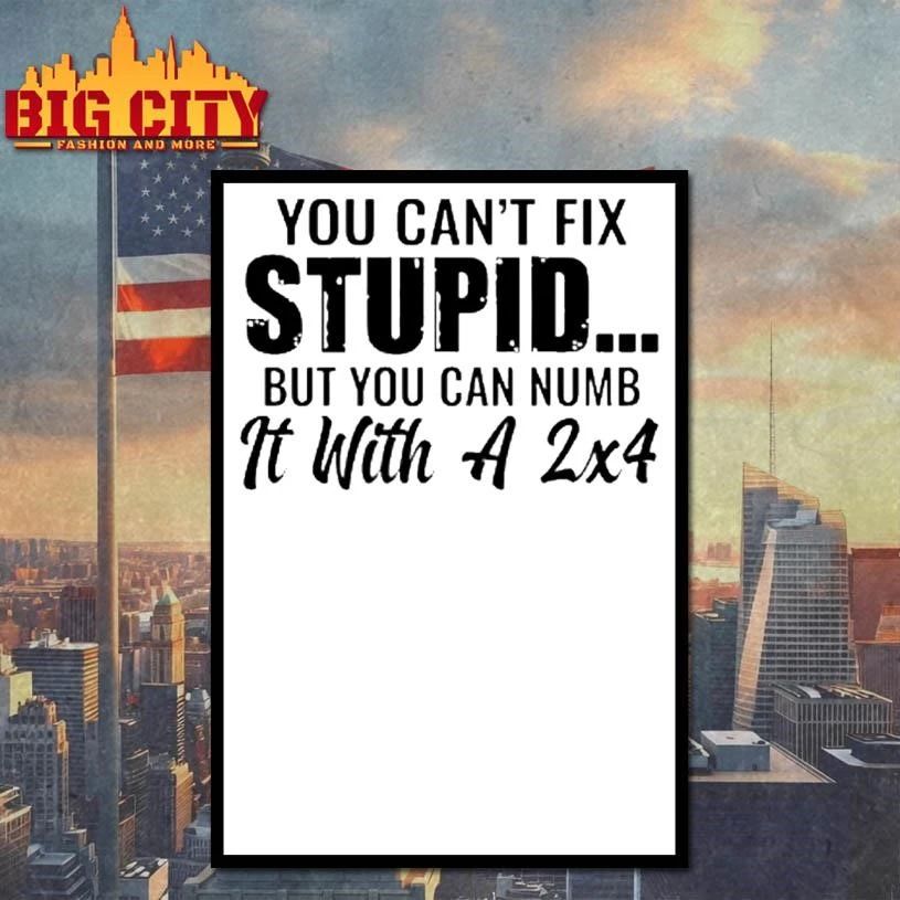 You Cant Fix Stupid But You Can Numb It With A 2×4 Graphic Shirt
