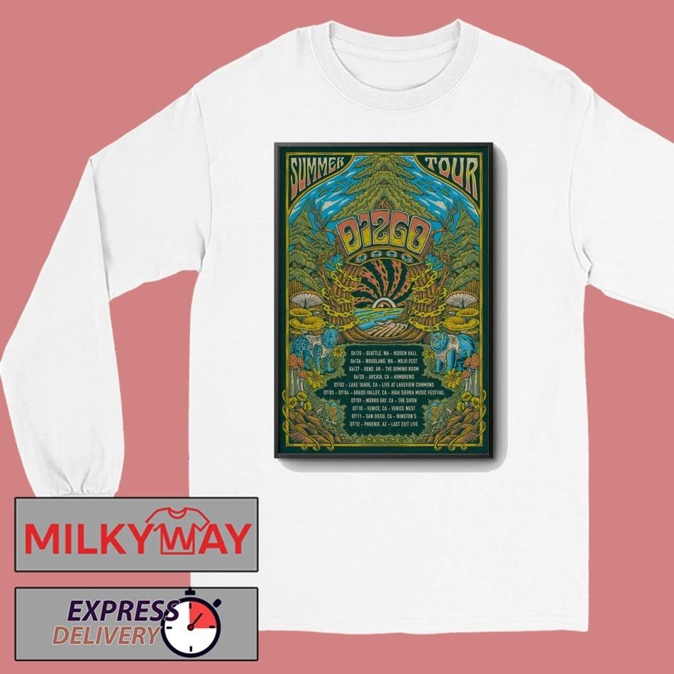 Poster DIZGO Summer 2026 Tour shirt