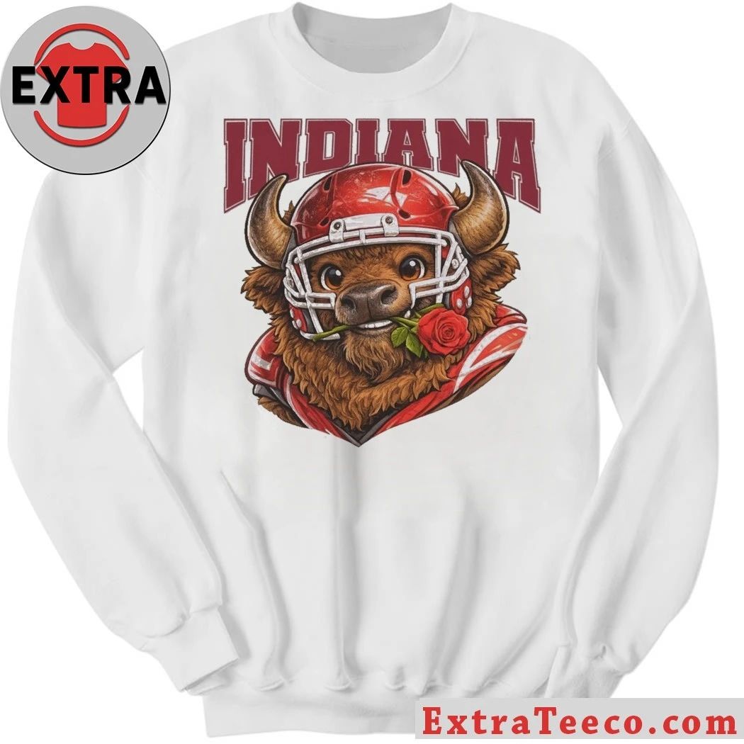 Indiana Bison Football College Football Playoff Shirt