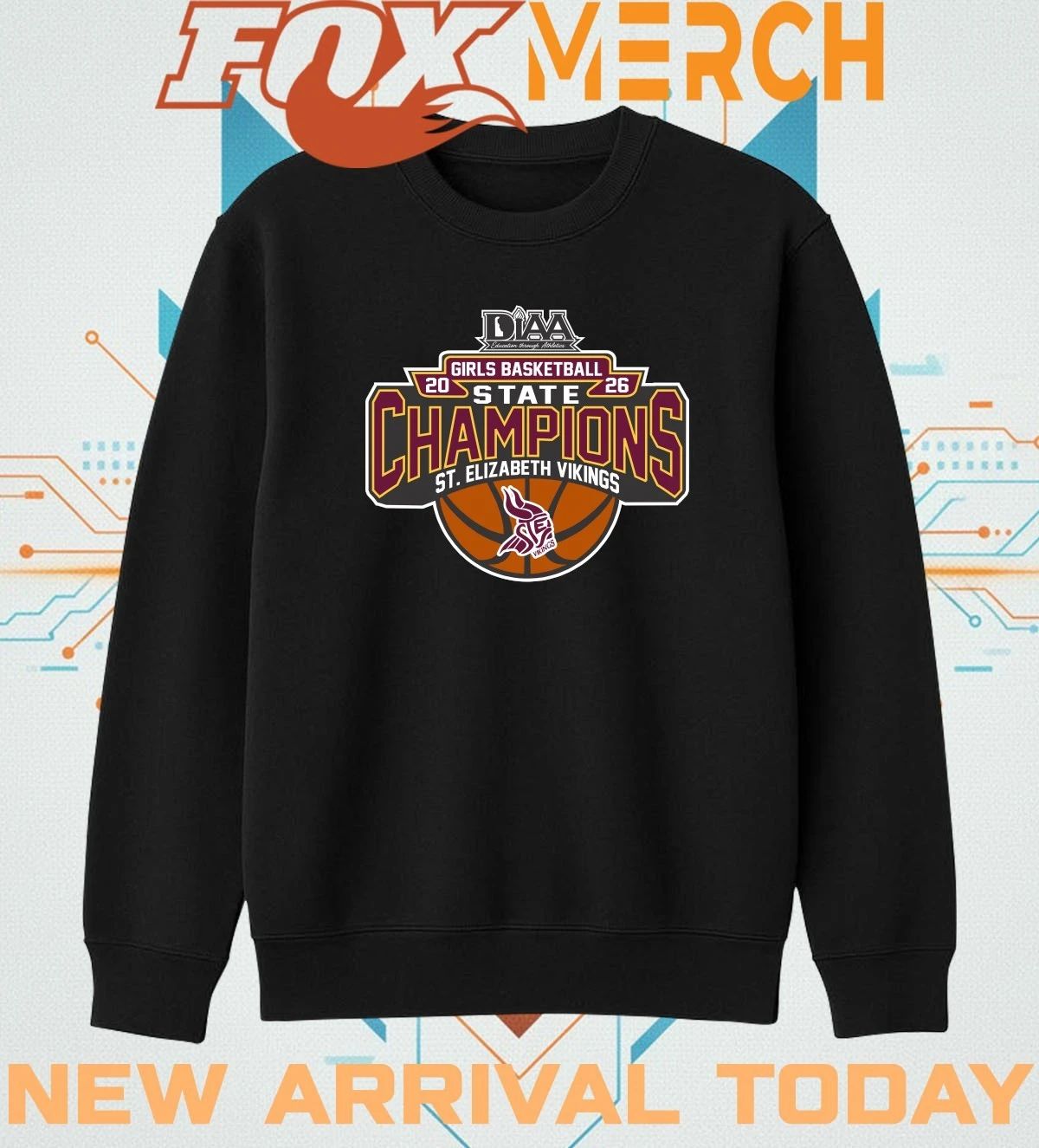 St. Elizabeth Vikings 2026 Girls Basketball State Champions t-shirt