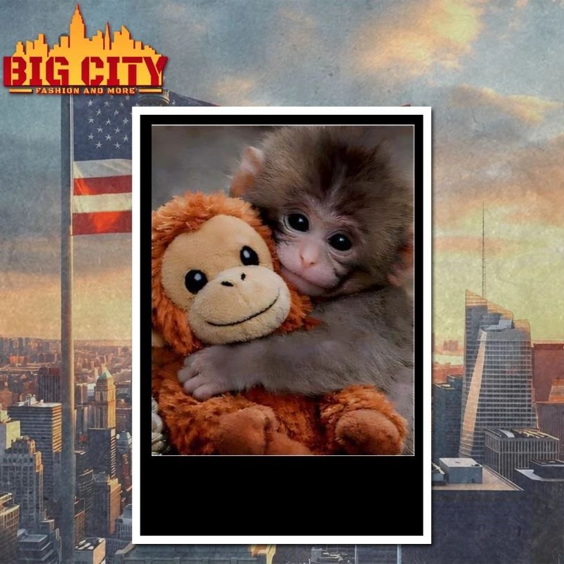 I Love Punch Monkey hugging stuffed monkey T-shirt