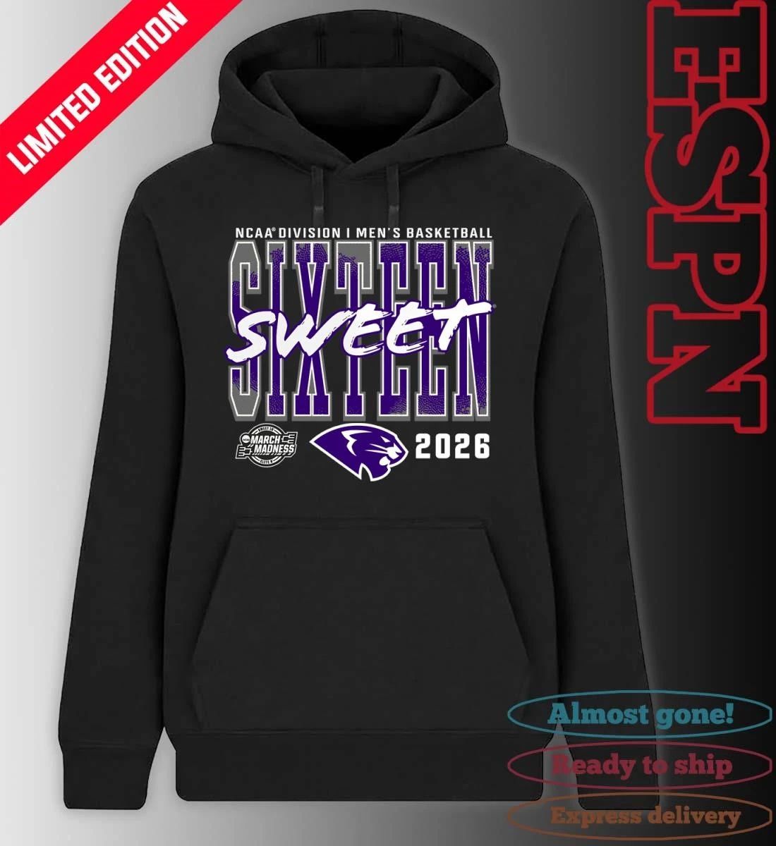 High Point Panthers 2026 NCAA Men’s Basketball Tournament March Madness Sweet 16 T-Shirt